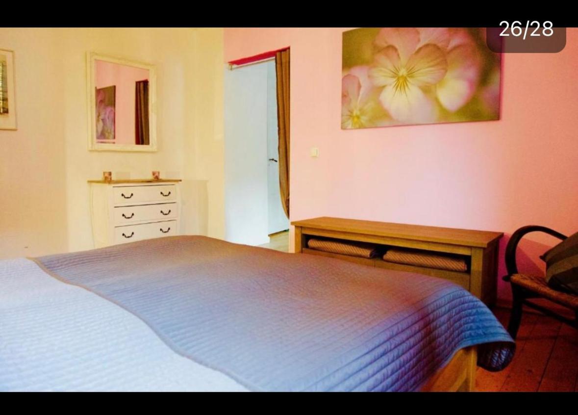 Apartment Moselblick Mit Kamin Traben-Trarbach Esterno foto